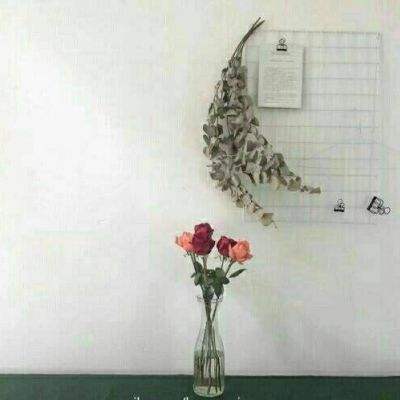 傲剑乾坤破解版下载